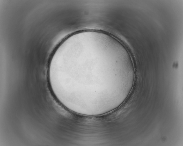 X0000091291416200709071022