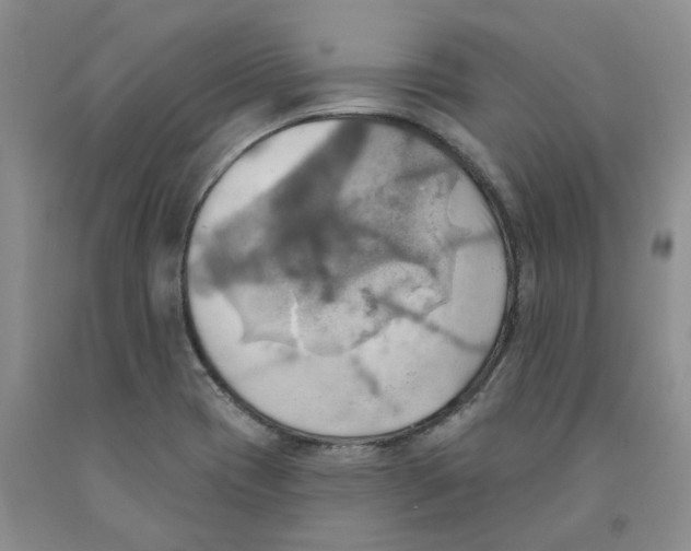 X0000091291417200709071022