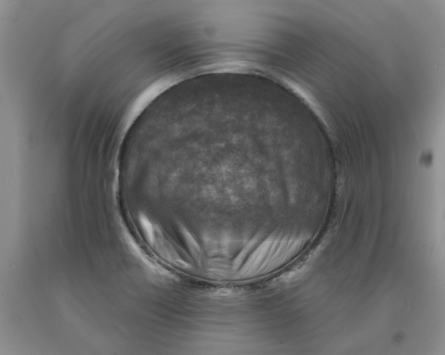 X0000091291418200709071022