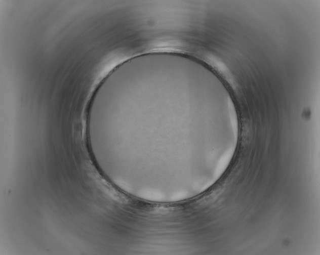 X0000091291419200709071022