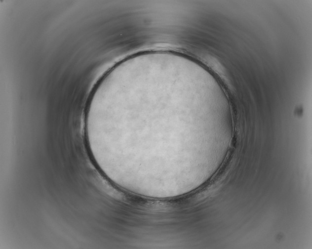 X0000091291420200709071022