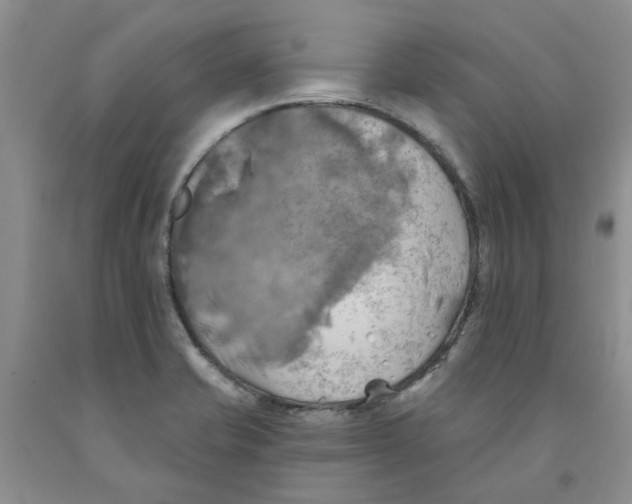 X0000091291421200709071022