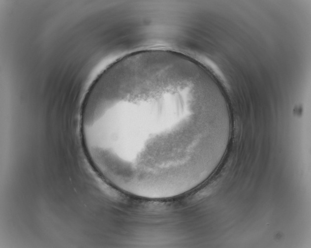 X0000091291424200709071022