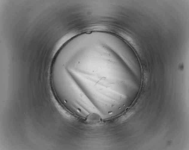 X0000091291426200709071022