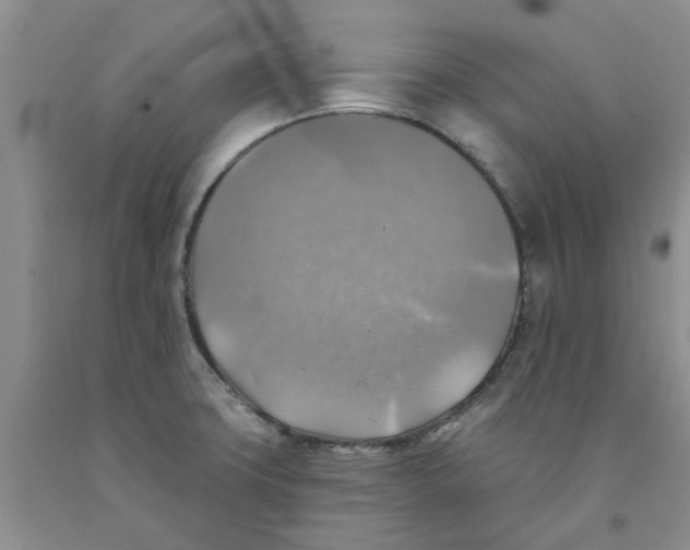 X0000091291427200709071022