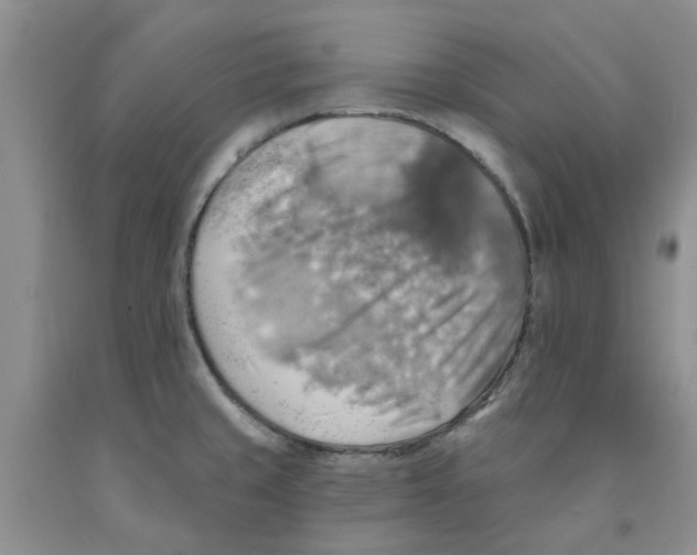 X0000091291429200709071022