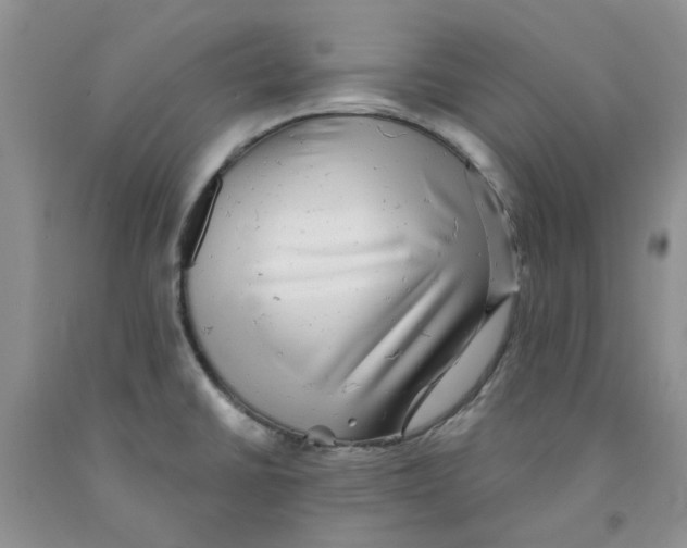 X0000091291430200709071022