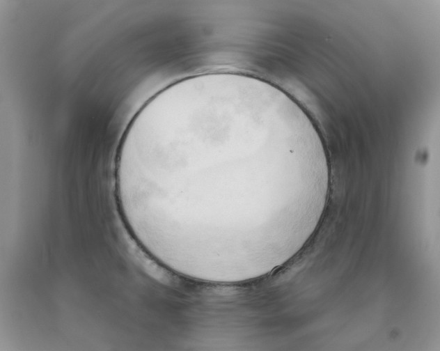 X0000091291431200709071022