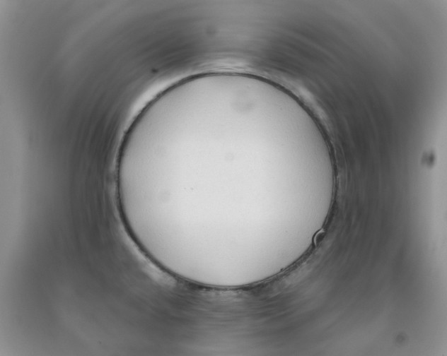 X0000091291432200709071022