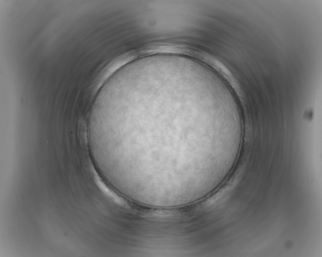 X0000091291433200709071022