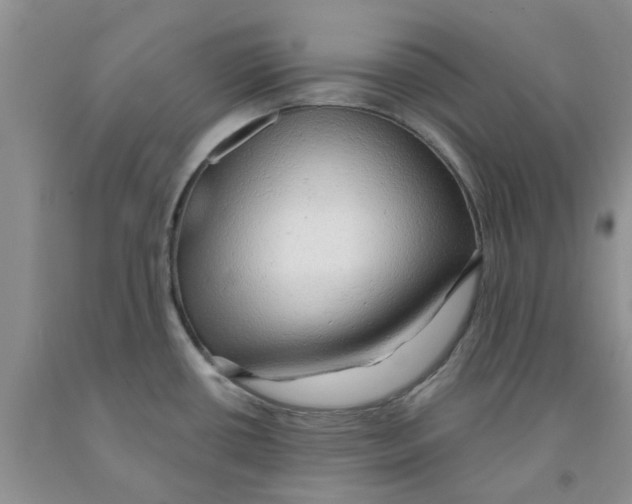 X0000091291434200709071022