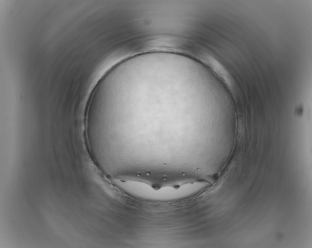 X0000091291435200709071022