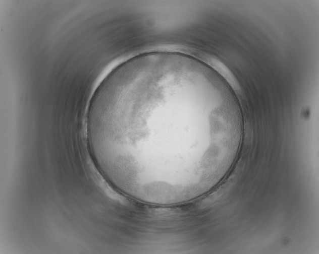 X0000091291436200709071022