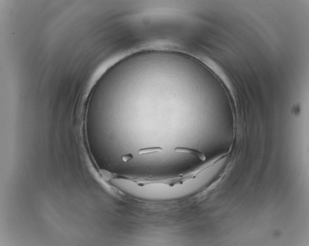 X0000091291437200709071022