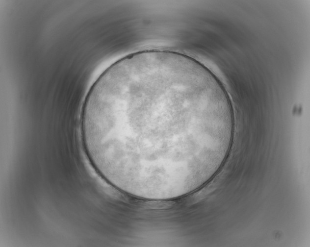 X0000091291440200709071023