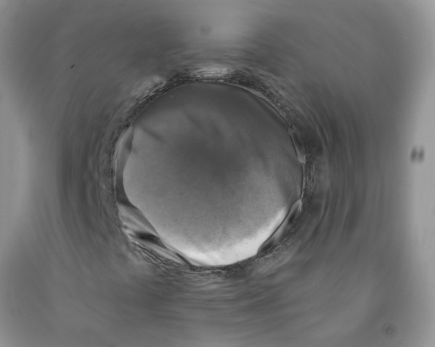 X0000091291441200709071022