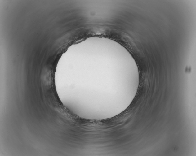 X0000091291442200709071022