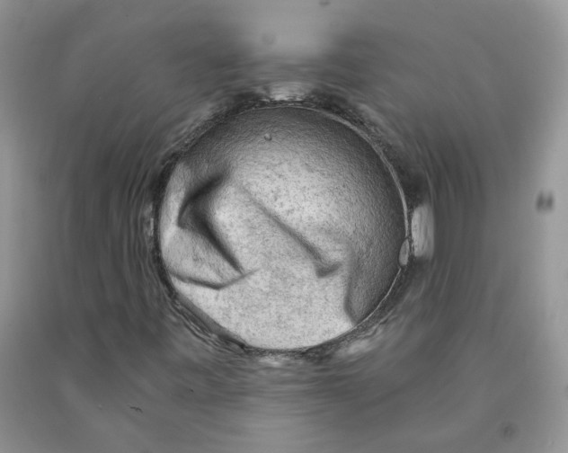 X0000091291443200709071022