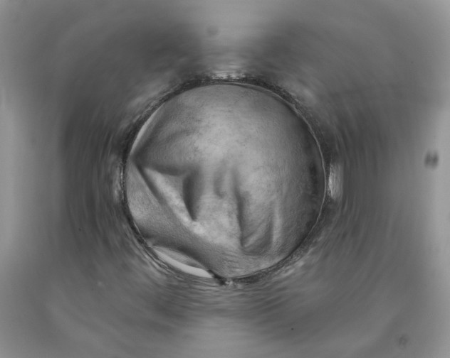 X0000091291444200709071022