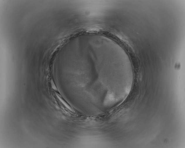 X0000091291445200709071022