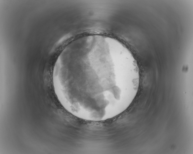 X0000091291446200709071022