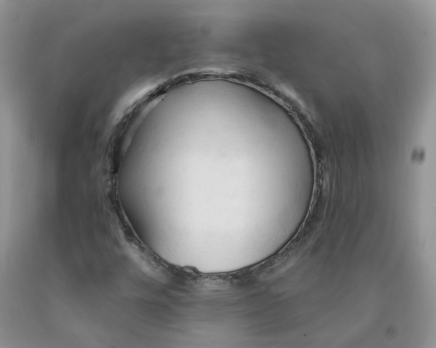 X0000091291448200709071022