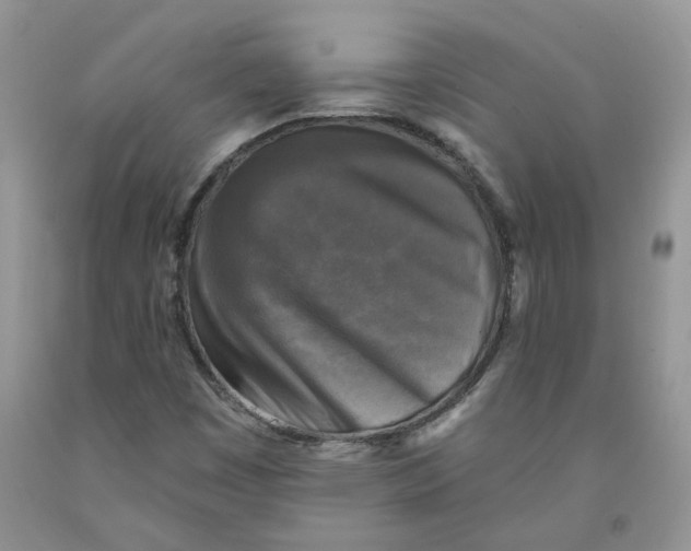 X0000091291449200709071022