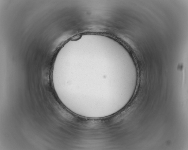 X0000091291451200709071022