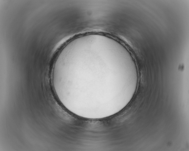 X0000091291452200709071022