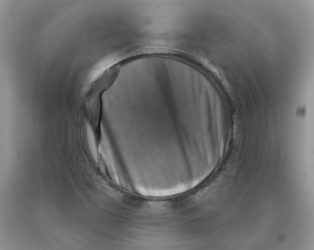 X0000091291453200709071022