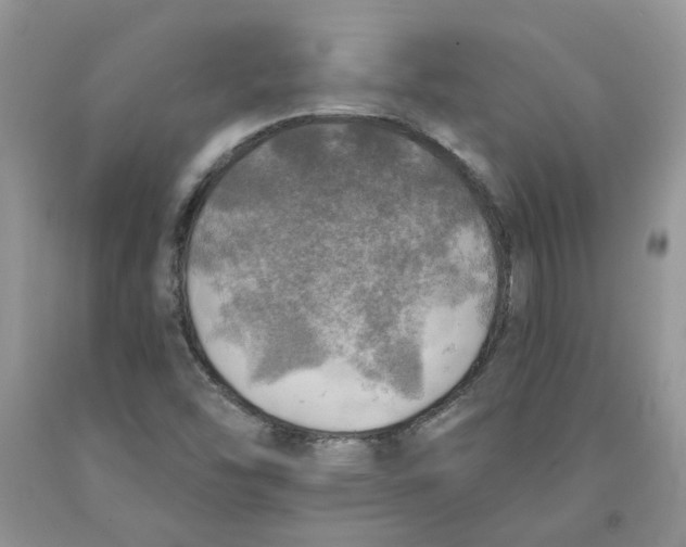 X0000091291454200709071022