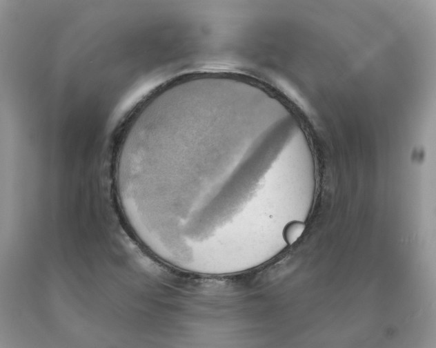 X0000091291456200709071022