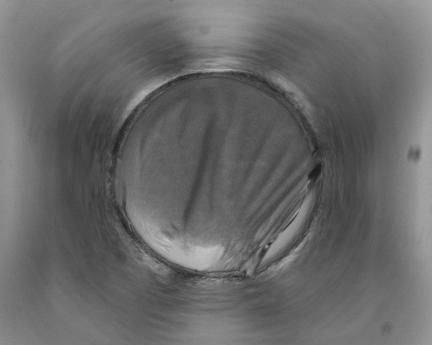 X0000091291457200709071022