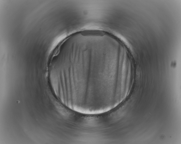 X0000091291461200709071021