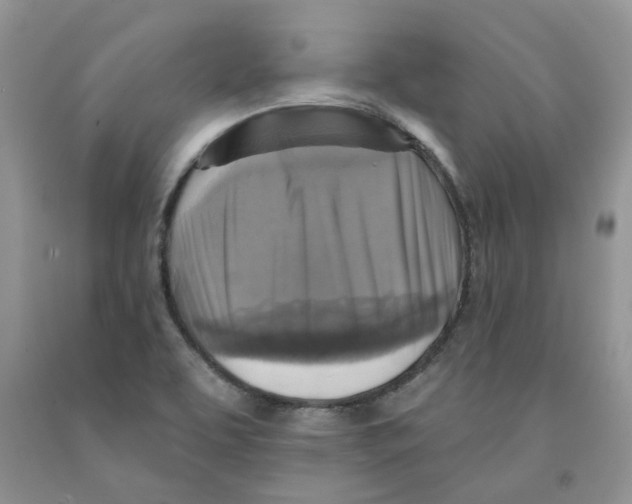 X0000091291463200709071021