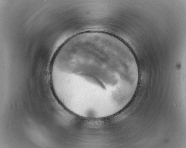 X0000091291466200709071021