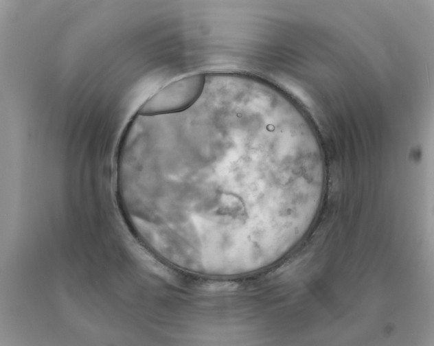 X0000091291467200709071021