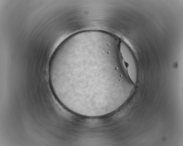 X0000091291468200709071021