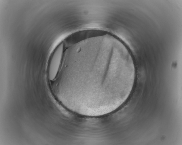 X0000091291469200709071021