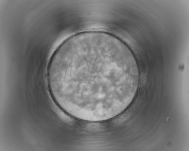 X0000091291470200709071021