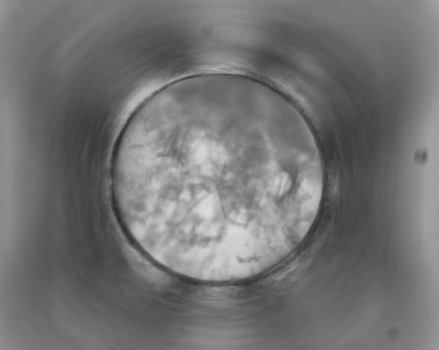 X0000091291471200709071021