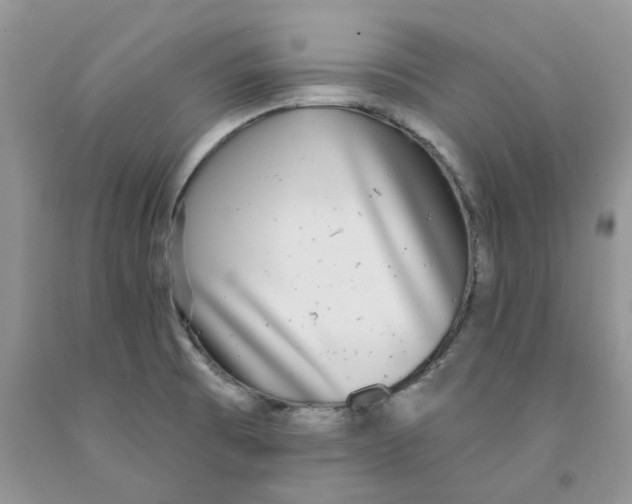 X0000091291473200709071021