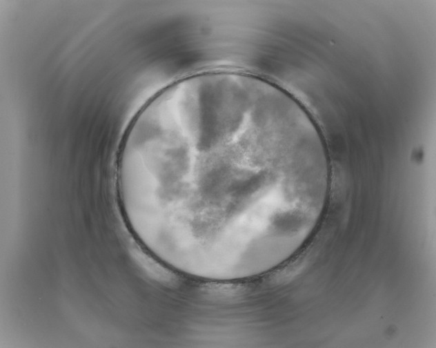 X0000091291474200709071021