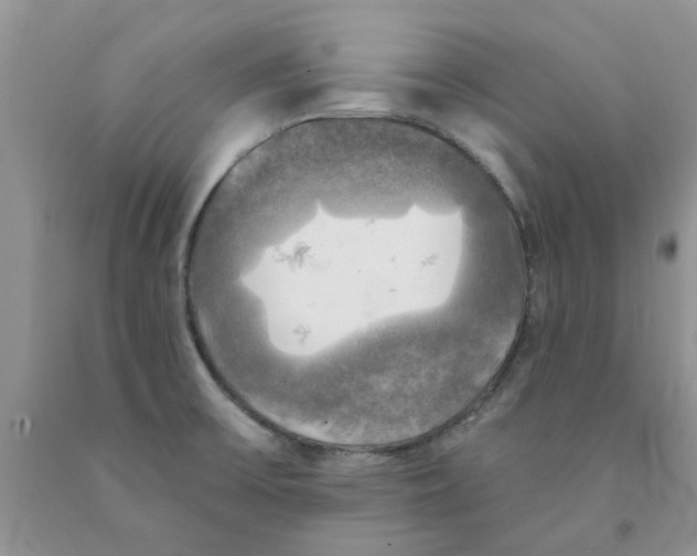 X0000091291475200709071021