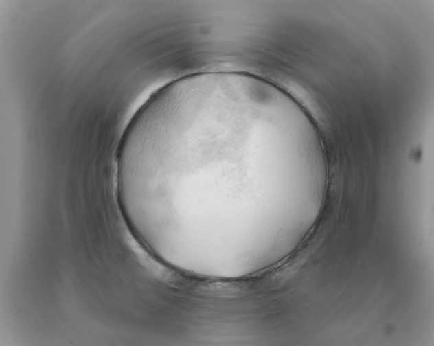 X0000091291476200709071021