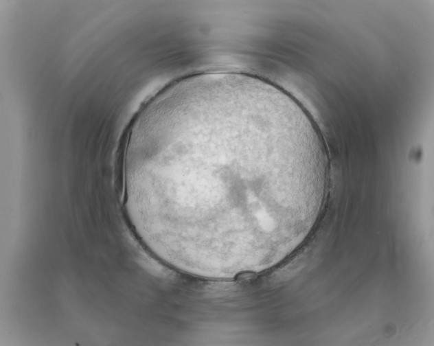 X0000091291477200709071021