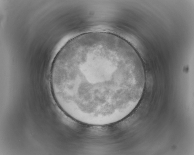 X0000091291478200709071021