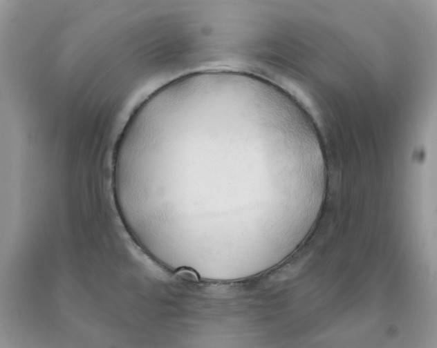 X0000091291480200709071021