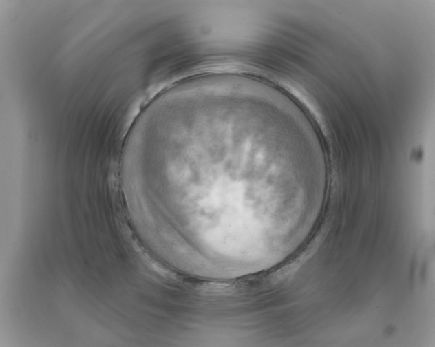 X0000091291481200709071021