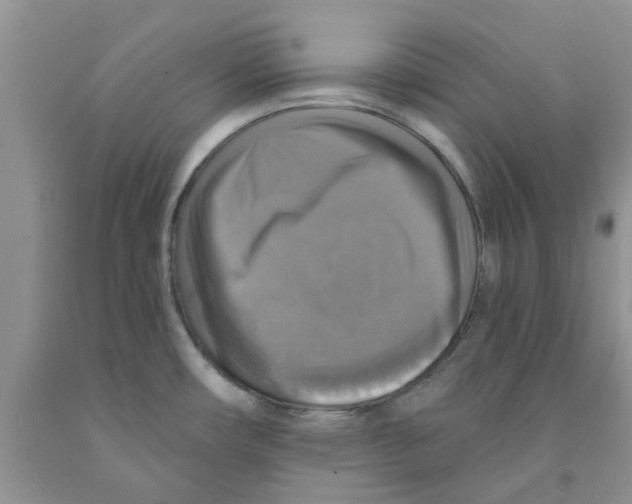 X0000091291482200709071021